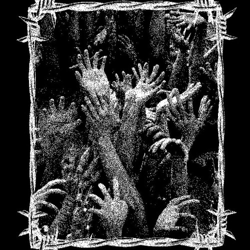 zafelminimix1