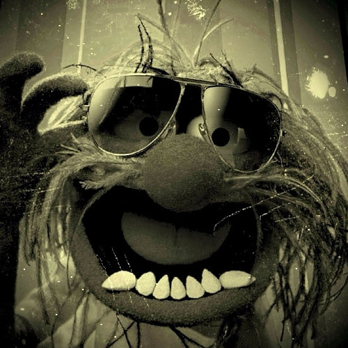 ROCKnROLLa