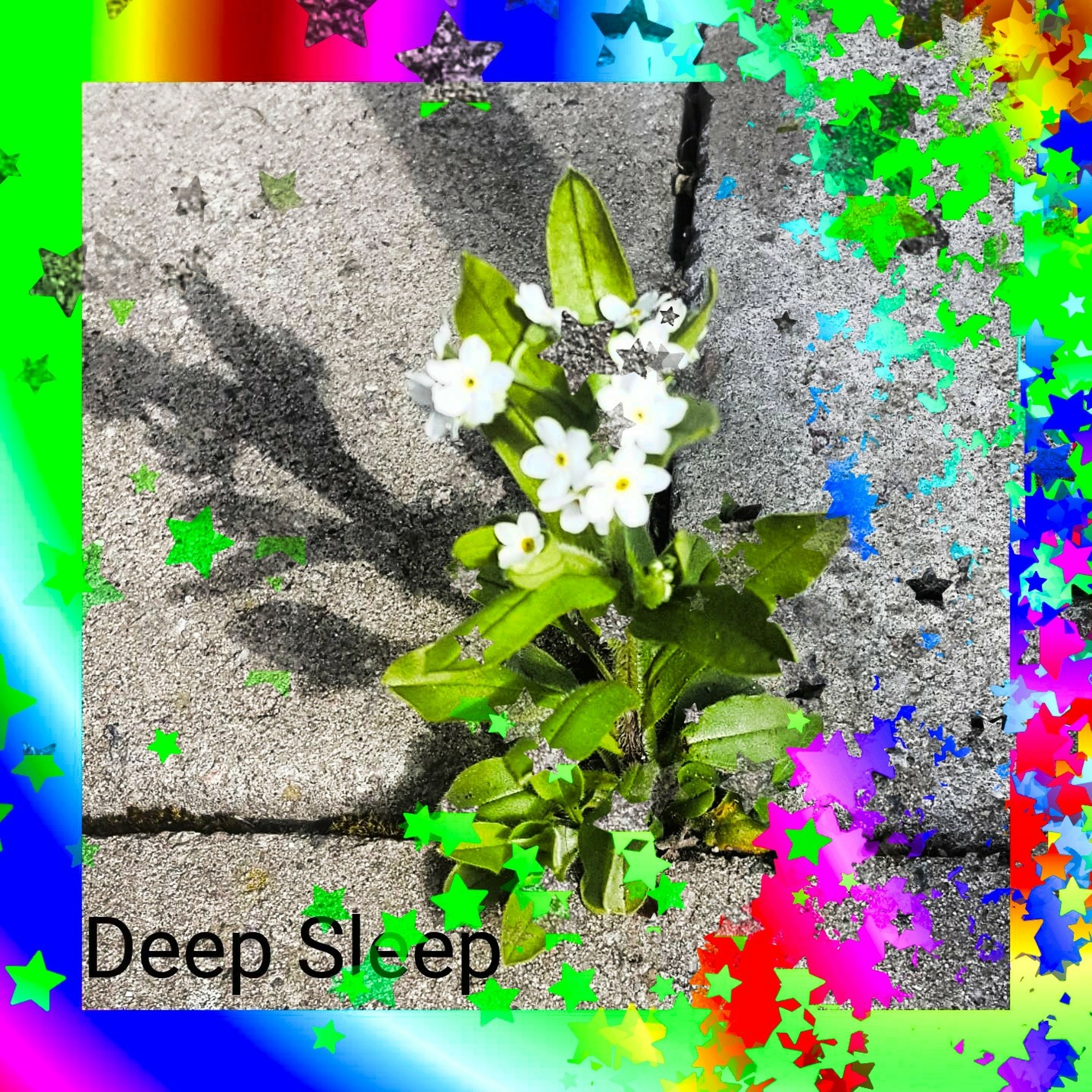 Deep Sleep episode artwork