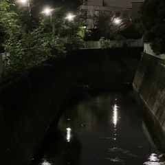 Omichive's Bookshelf 051225