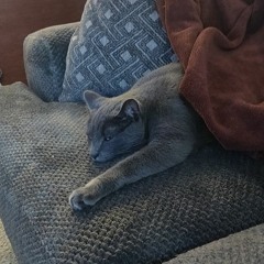 I Was Standing On The Ledge (Now I'm Soaring Through The Sky)