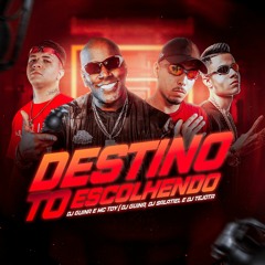 DESTINO TO ESCOLHENDO - DJ GUINA E MC TOY (DJ TEJOTA, DJ GUINA E DJ SALATIEL  )