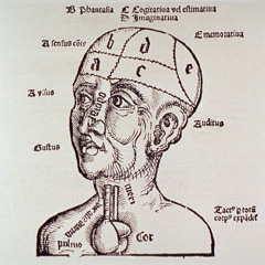 Ep 15 - 5 Senses; Freemasonry; Philosophy