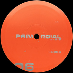 A1 Primordial State - Response (Snippet)