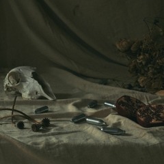 Premiere: Hiatus 'Shadowless'