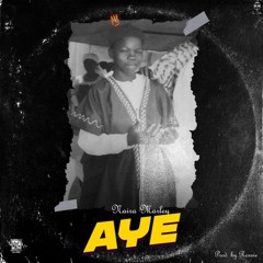 Naira Marley - Aye