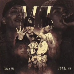 Tobal MJ, Cris MJ - SE QUE LE HICE DAÑO (Audio Completo)
