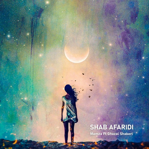 Shab Afaridi