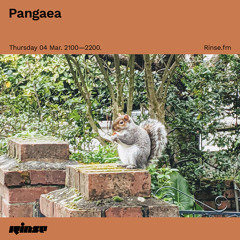 Pangaea - 04 March 2021