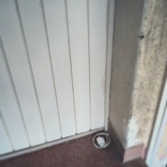 twosouthwest trapstar jonny - gameshow prod. atum bruit