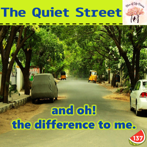 The Quite Street