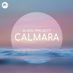 M-Sol Project - Palm Leaves [M-Sol Records]