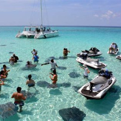 Review Special Price Stingray City And Starfish Beach Jet Ski Tour