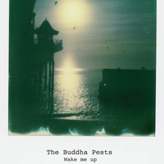 Wake Me Up by The Buddha Pests