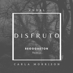 Disfruto - Carla Morrison X DJ VNDRL (Reggaeton Remix 2020)