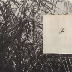 Jordmenneske - Å Skape Rom For Ærefrykt