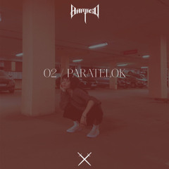 #2 Damasq radio with Paratelok