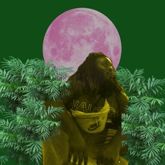 PINK MOON [EP] (tapes & vinyl on Bandcamp)
