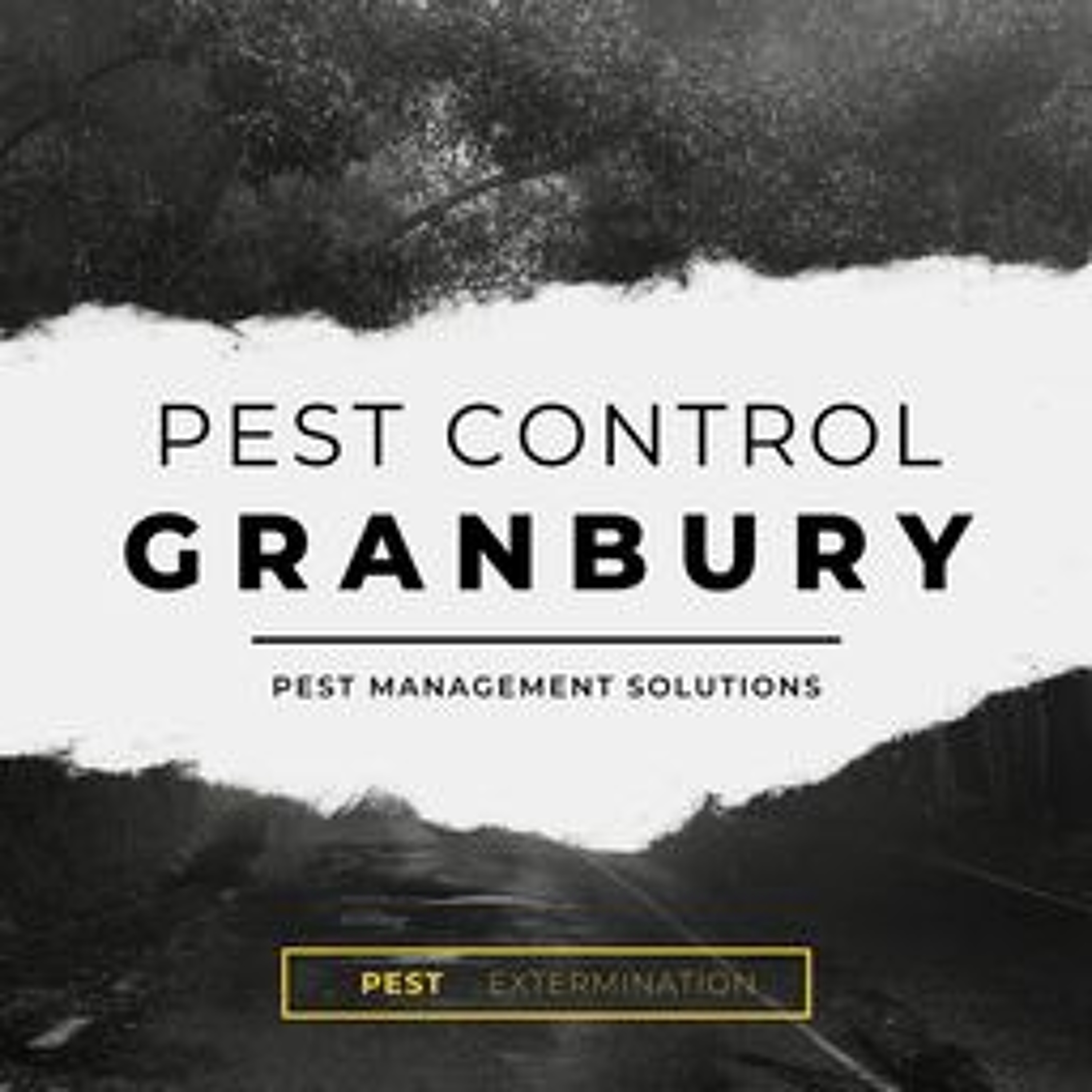 Pest Control Granbury TX