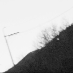약한비(Demo)