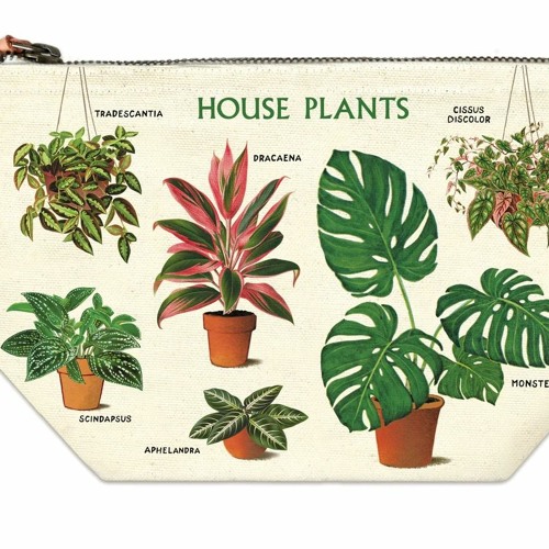 Stream Indoor Plants Names And Pictures Pdf ^HOT^ by Nationloasa2