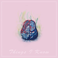 Things I Know (feat. Dotdotdot & Laminate Flow)