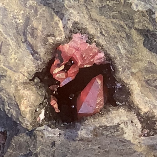 The Red Ruby