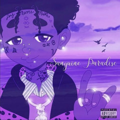 sanguine paradise remix- lil uzi vert