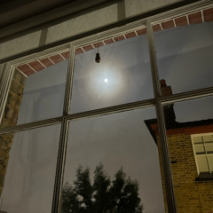 When the Words Leave