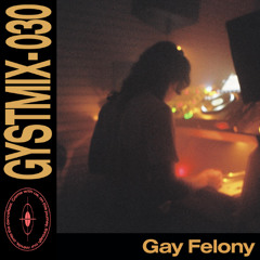 GYSTMIX-030 - GAY FELONY