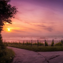 Paths