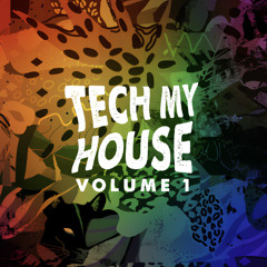 TECH HOUSE HYPE Mix Vol.1