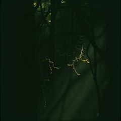 Chasing the Unseen