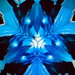 Long Into this Earthly Night, Standing at a Window, Gazing at a Star