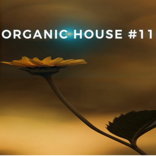 Organic House Vol.11 - Zizzi Selection