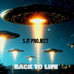 Sjt Project - Back to Life Bow CHI