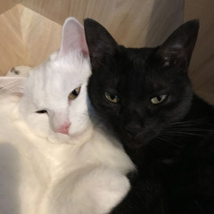 <3