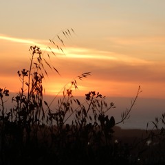 Graveled Guts by the Crudes Clip