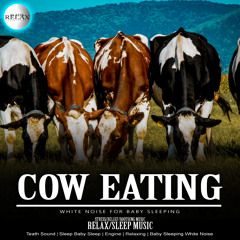 Cow eating satisfying sound (Teath sound, Sleep Baby Sleep, Engine, Relaxing, Babe Sleeping White Noise)
