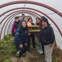 Raúl Fernández - Río Negro Nutre: 93 invernaderos y 10.600 plantines para 2024 saludable