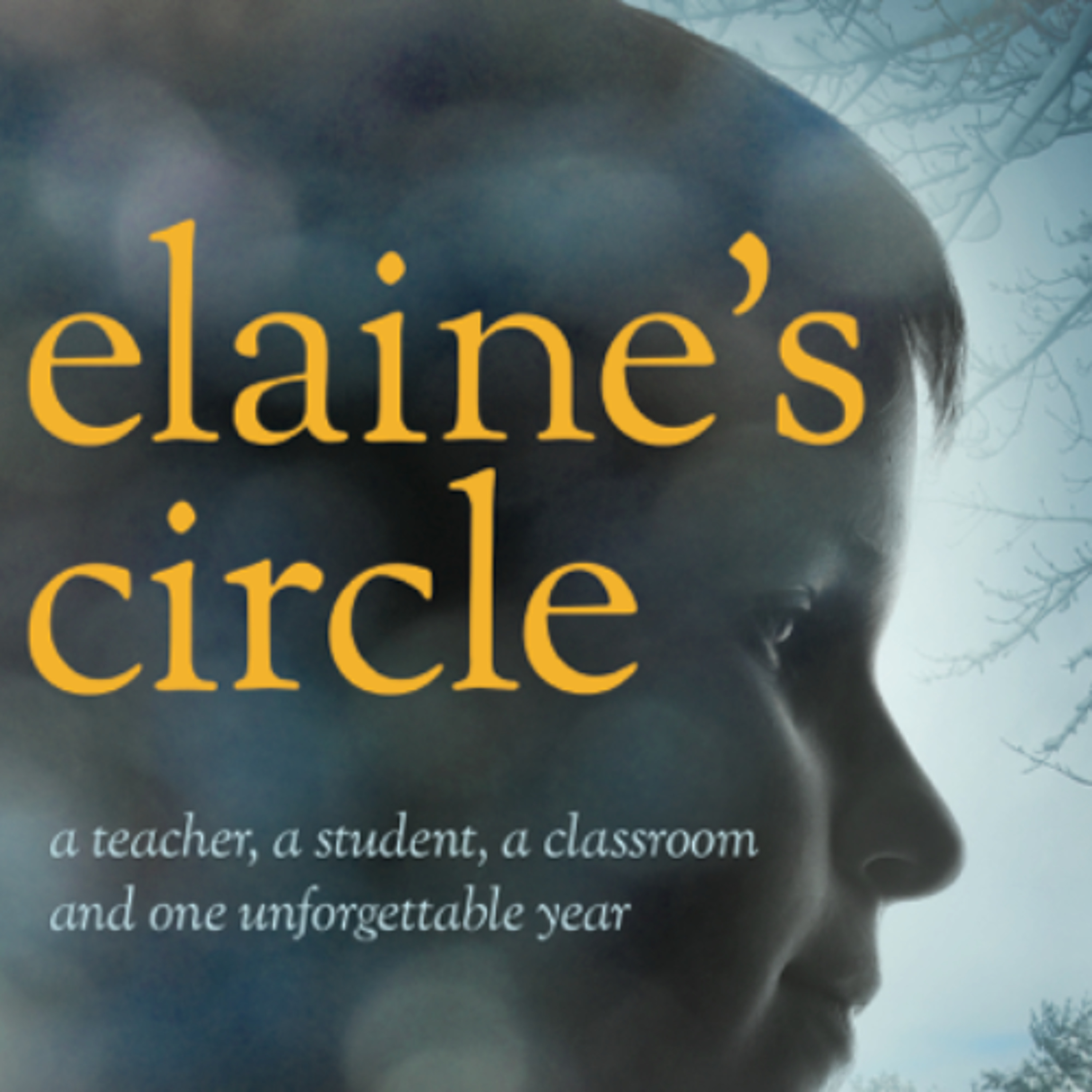 Teacher Stories