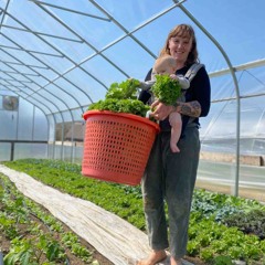Digging in the Dirt - Kaitlyn Kimball Cityseed -  Storms Effects On Small Farmers