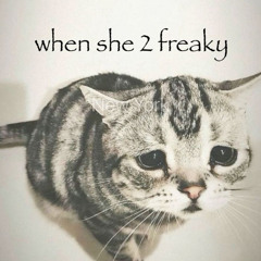 Freak bih