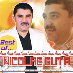 Nicolae Guta - Iubesc cum n-am iubit