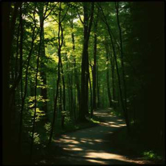 That's All It Is (A Man's World)