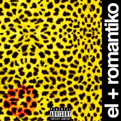 Ed Cardi - SHOPPING SPREE