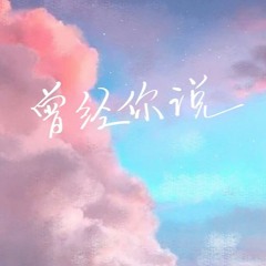 曾经你说 REXX WU REMIX