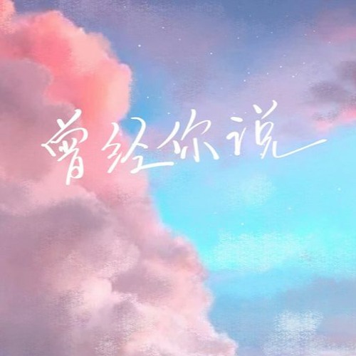 曾经你说 REXX WU REMIX