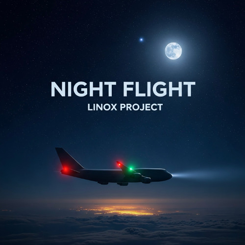 Night Flight