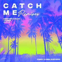 Catch Me (Keerthin, FALCO Remix)